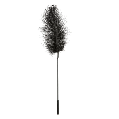 Ostrich Tickler, Black